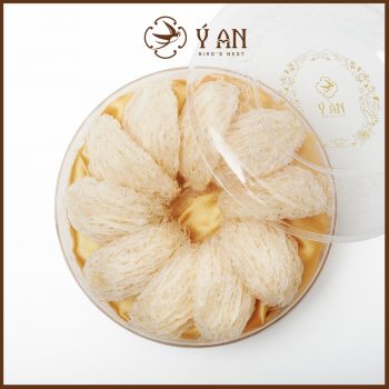 Yến rút lông nguyên tổ cao cấp